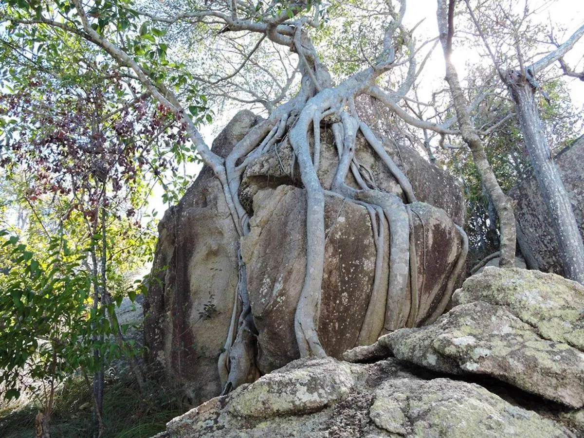بيت للعطل فيلا Driftwood Picnic Bay